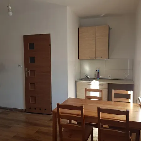 Wrzosowa 10 Apartment Sosnowiec
