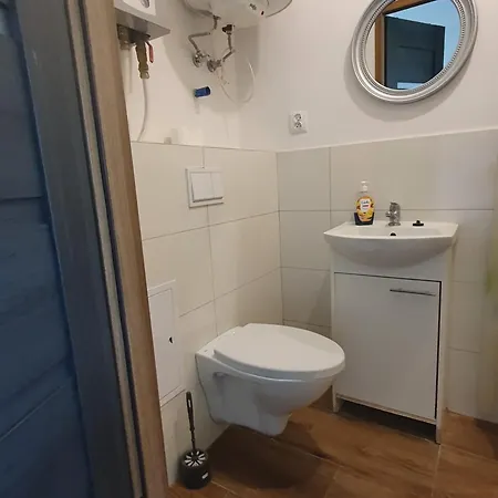 Wrzosowa 10 Apartment Sosnowiec